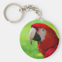 Scarlet Macaw Ara Macao American Parrot Keychains