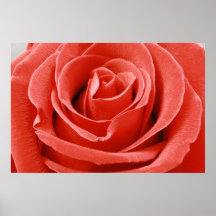 Scarlet ro print