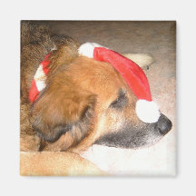 Schäferhund,Hund,Lustig,Weihnachten,Christmas Kühlschrankmagnete