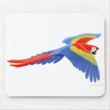 Scharlakansröd Macaw Mousepad Musmattor