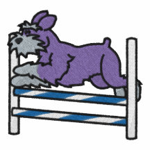 Schnauzer för Agilitypubhopp