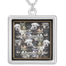 Schnauzercollagehalsband
