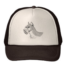 SCHNAUZEREN TRUCKER KEPS