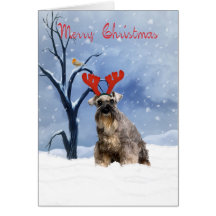 schnauzerjulkort - schnauzeren har renen