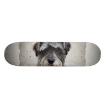 SchnauzerSkateboard