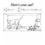 Schrödinger's Cat Tee Shirt