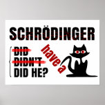 Schrodingers Dillema Affisch