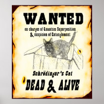 Schrodingers katt "önskade" affischen