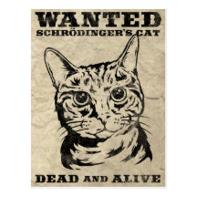 Schrodingers katt önskade dead eller vid liv vykort