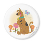 Scooby Doo efter Butterfly1 magneter