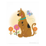 Scooby Doo efter Butterfly1 affischer