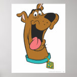 Scooby Doo poserar 49 Print