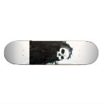 scull skateboards