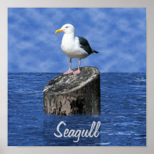 SEAGULL PRINT