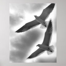 Seagulls som flyger kick print