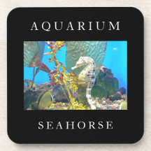 Seahorse Dryck Underlägg