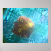 seashoreblomma posters