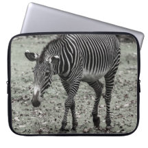 Sebra Laptopskydd Fodral
