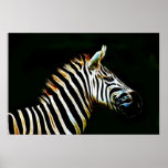 Sebra med svartvita randar i afrika affischer