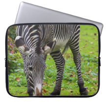 Sebradjurlivfoto Laptop Datorfodral