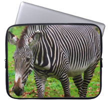 Sebrafoto Laptop Datorskydd