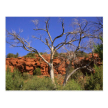 Sedona landskap vykort