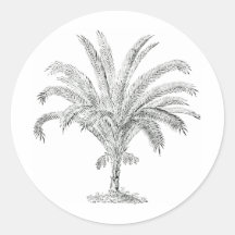 Senegal daterar handflatan rund klistermärke