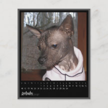 september 2012 kalender flygblad