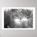September mist posters