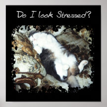 Ser jag stressad? posters