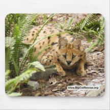 serval 019 kopierar mus mattor