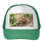 serval 019 trucker keps