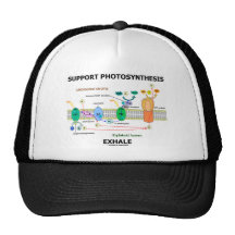 ServicePhotosynthesis utandas (miljö-) Trucker Kepsar