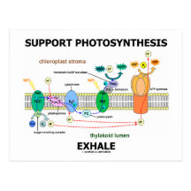 ServicePhotosynthesis utandas (miljö-) Vykort