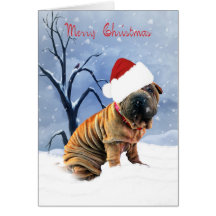 Shar-Pei god julkort - Shar-Pei i en Chri