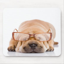 Shar Pei Musmattor