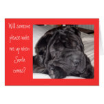 Shar Pei Santa Hälsnings Kort