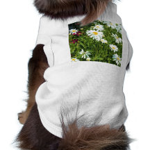 Shasta daisy djur tshirt