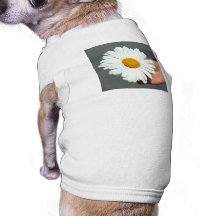 Shasta daisy djur tshirt