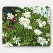 Shasta daisy Mousepad Mus Matta