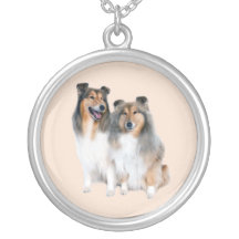 Sheltie halsband