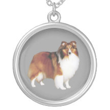 Sheltie halsband