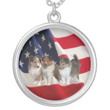 Sheltie halsband