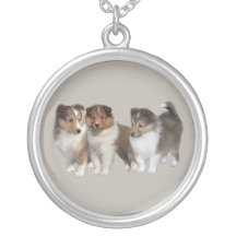 Sheltie halsband