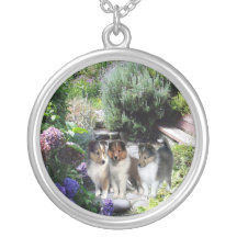 Sheltie halsband