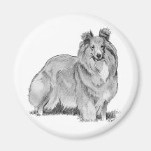 Sheltie Magneter För Kylskåp