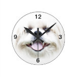 Shih Tzu ansikte