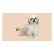 Shih Tzu avelsdjurvisitkort