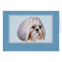 Shih Tzu födelsedagkort