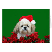Shih Tzu jul Hälsnings Kort